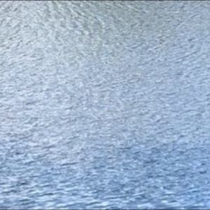 Meet your Posher, Louis